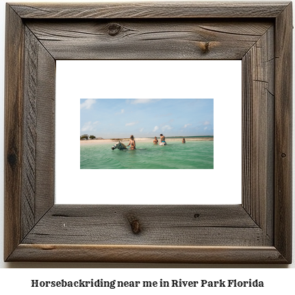 horseback riding near me in River Park, Florida